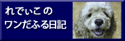 サイト担当者のワンコ（コッカースパニエル）のブログです