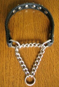 依頼加工を受けたハーフチョーク首輪