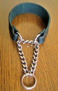 お直し加工のご依頼を受けたM.シュナウザーのハーフチョーク首輪