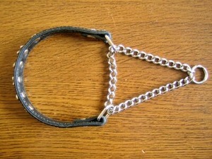 チェーン交換後のハーフチョーク首輪