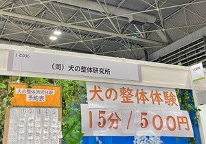 犬の整体体験ブース