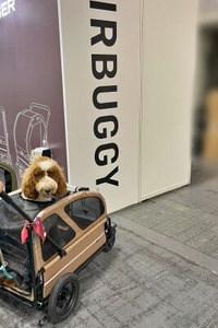 スタンダードプードルも入るペット用カート